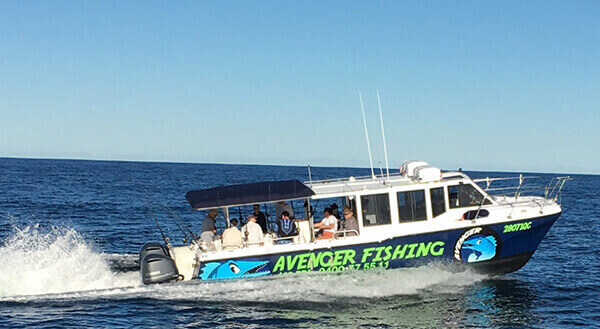avenger gold coast fishing charters other general 2